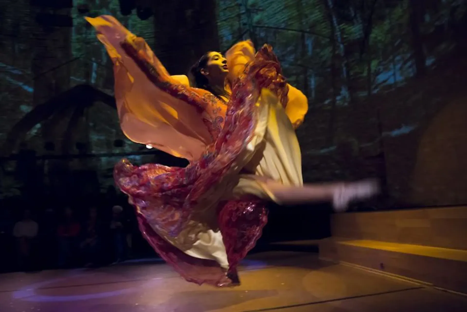 Billet pour le spectacle Rhythm of the Dance