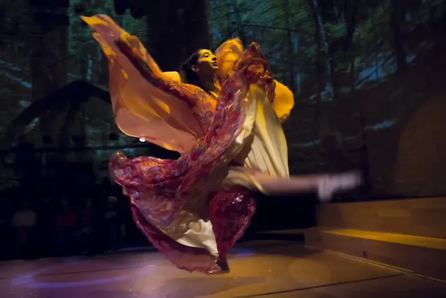 Billet pour le spectacle Rhythm of the Dance