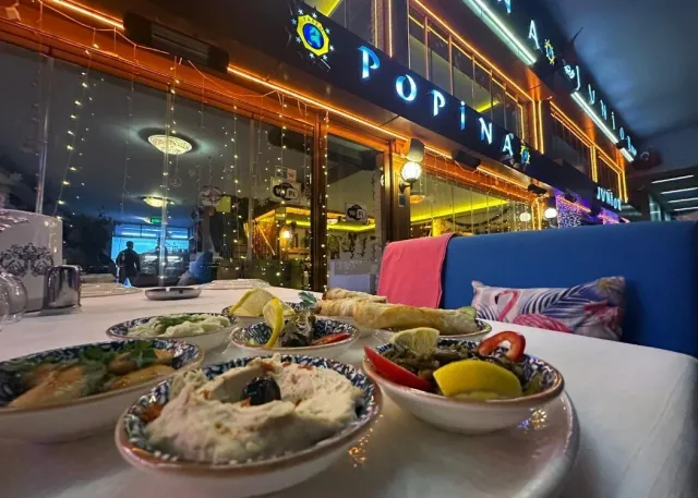 Expérience de dégustation de cuisine turque authentique sous le Galata Bridge