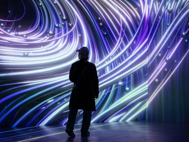 Entrée coupe-file au Digital Experience Museum