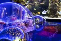 Billet d'entrée à l'Istanbul Aquarium