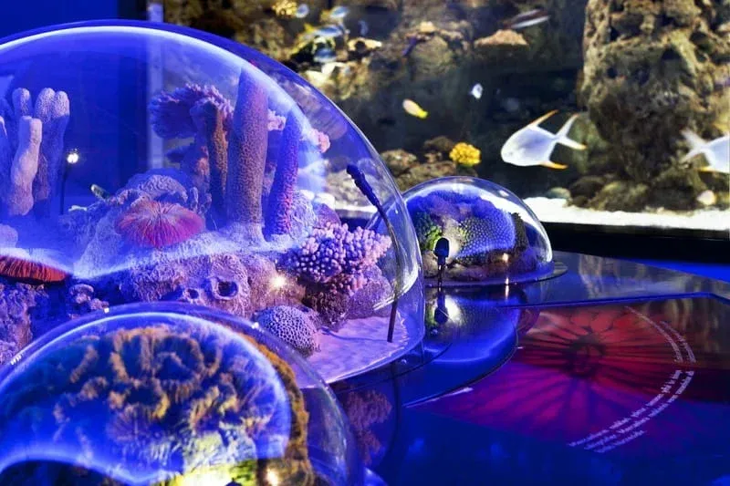 Istanbul Aquarium Belépőjegy