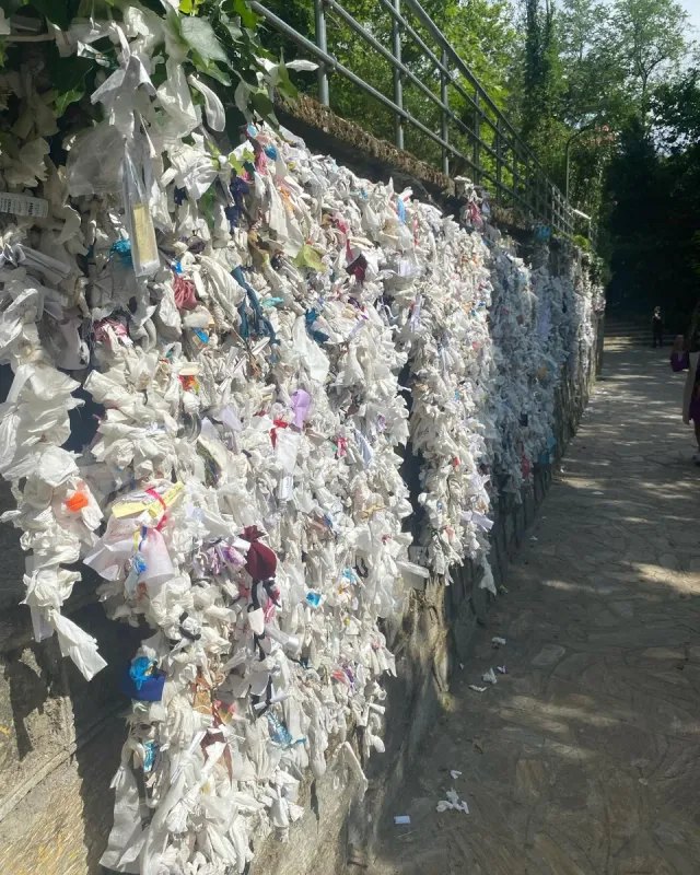 Excursion guidée d’une journée à Ephesus & Virgin Mary House
