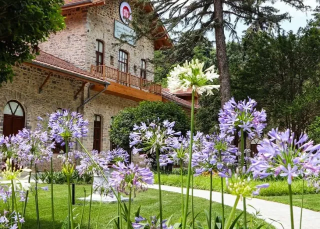 Beykoz Glass and Crystal Museum Skip-the-Ticket-Line Entry Ticket