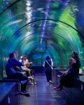 ViaSea Aquarium belépőjegy