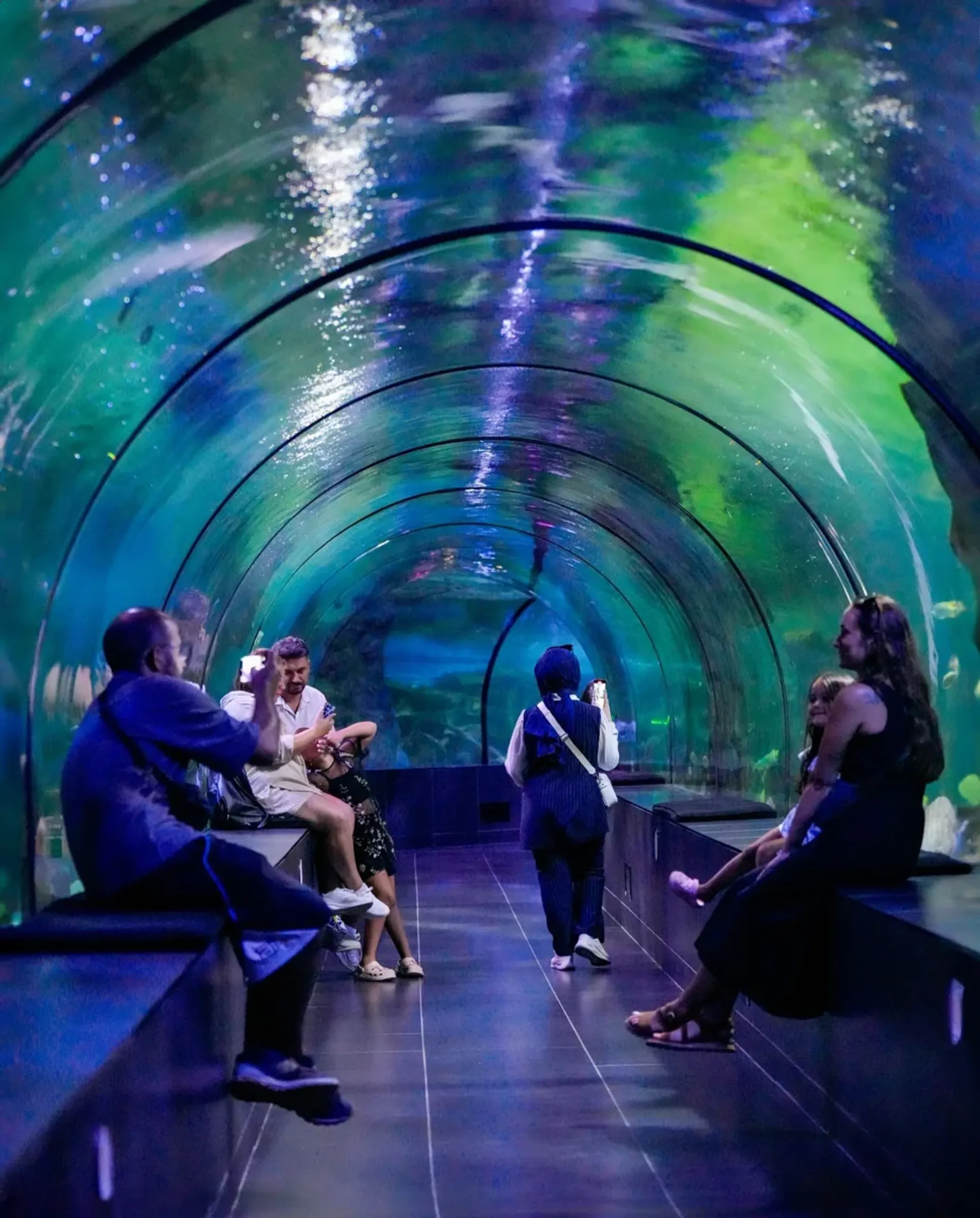 ViaSea Aquarium belépőjegy