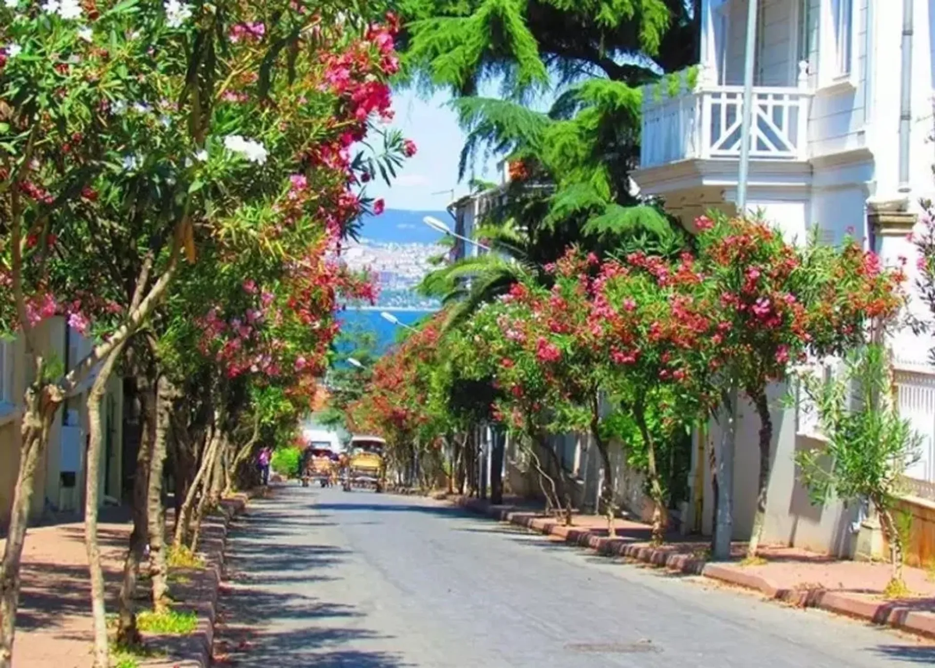 Buyukada Island Roundtrip Boat Ticket with Audio Guide