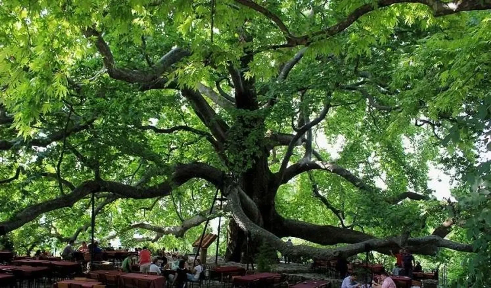 Excursion d’une journée à Bursa & Shopping avec guide