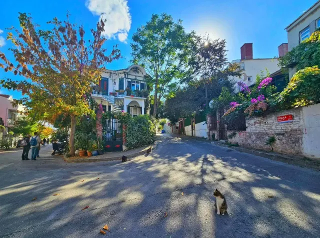 Excursion aux Princes’ Islands avec déjeuner