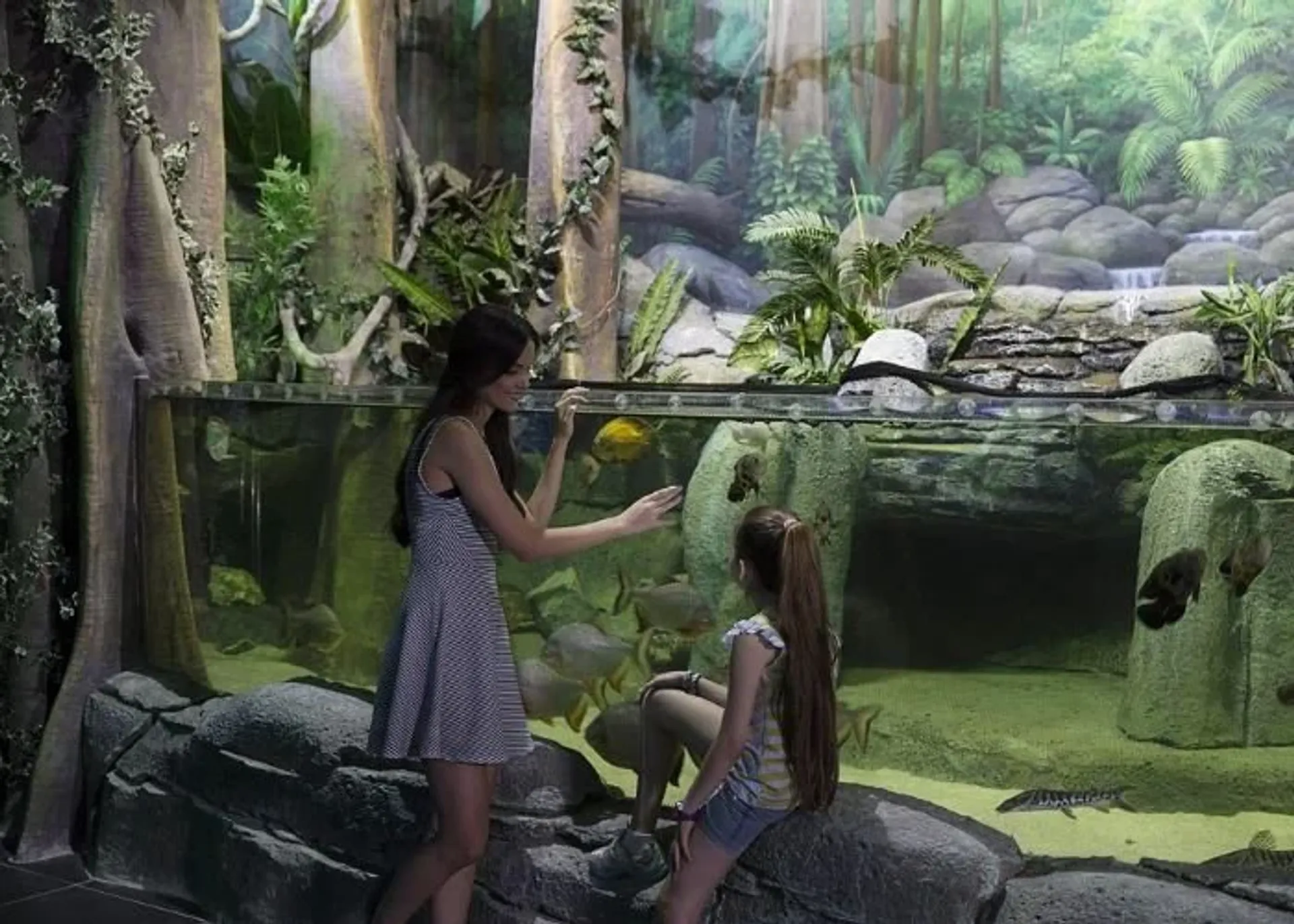 ViaSea Aquarium belépőjegy