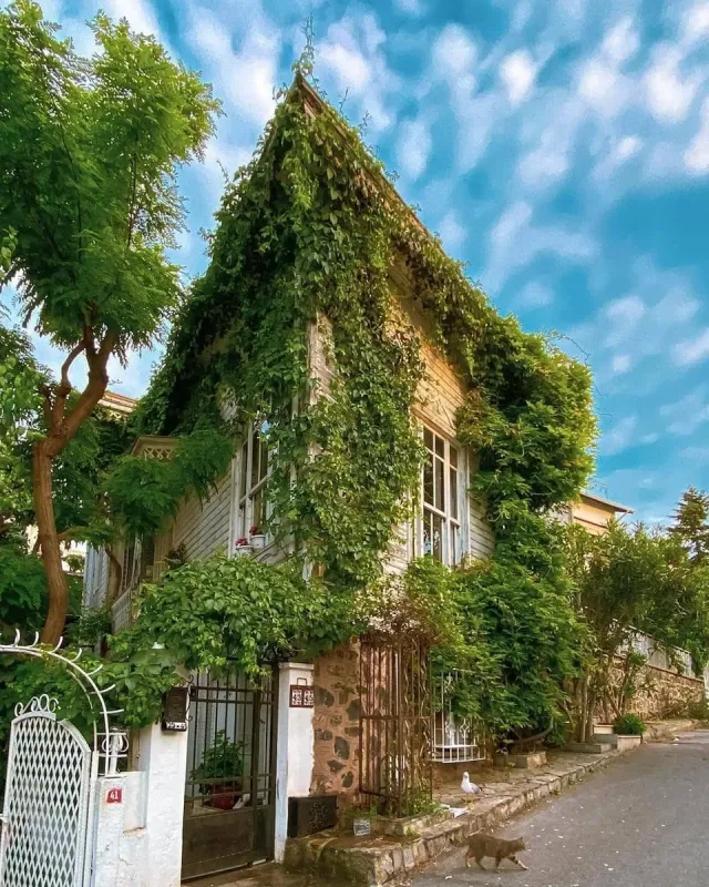 Buyukada Island Roundtrip Boat Ticket with Audio Guide