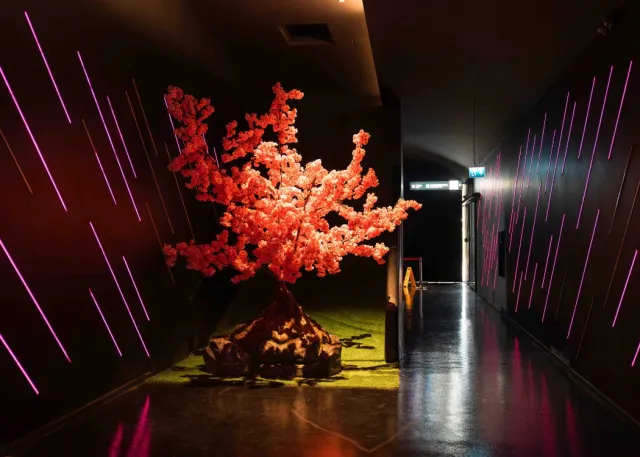 Digital Experience Museum Ingresso Salta la Fila alla Biglietteria