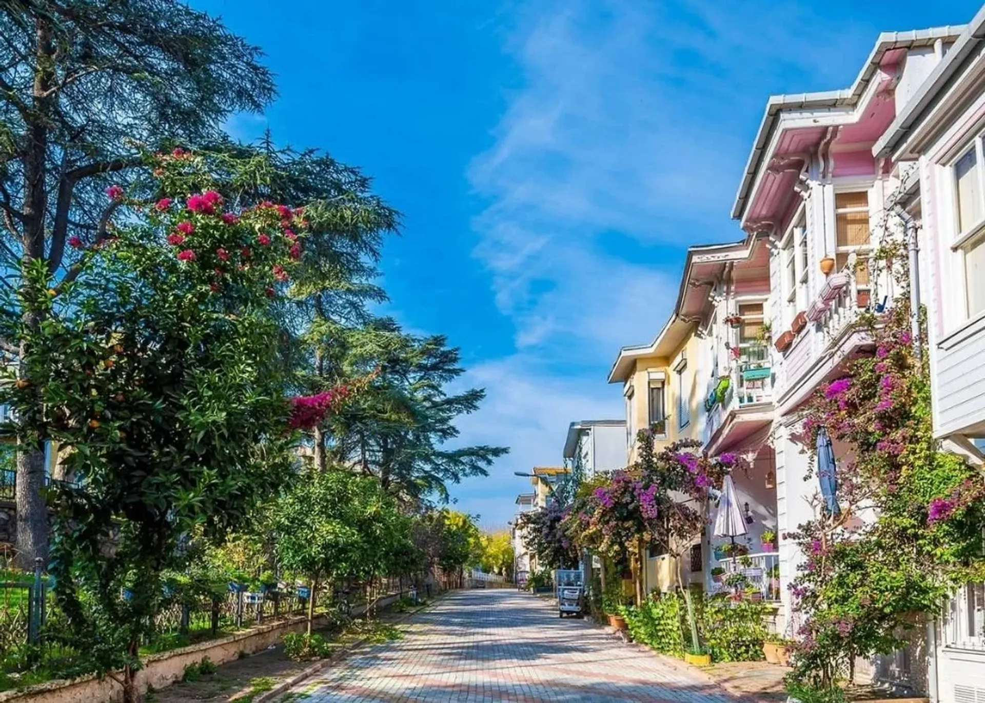 Billet aller-retour en bateau pour l’île de Heybeliada avec audioguide