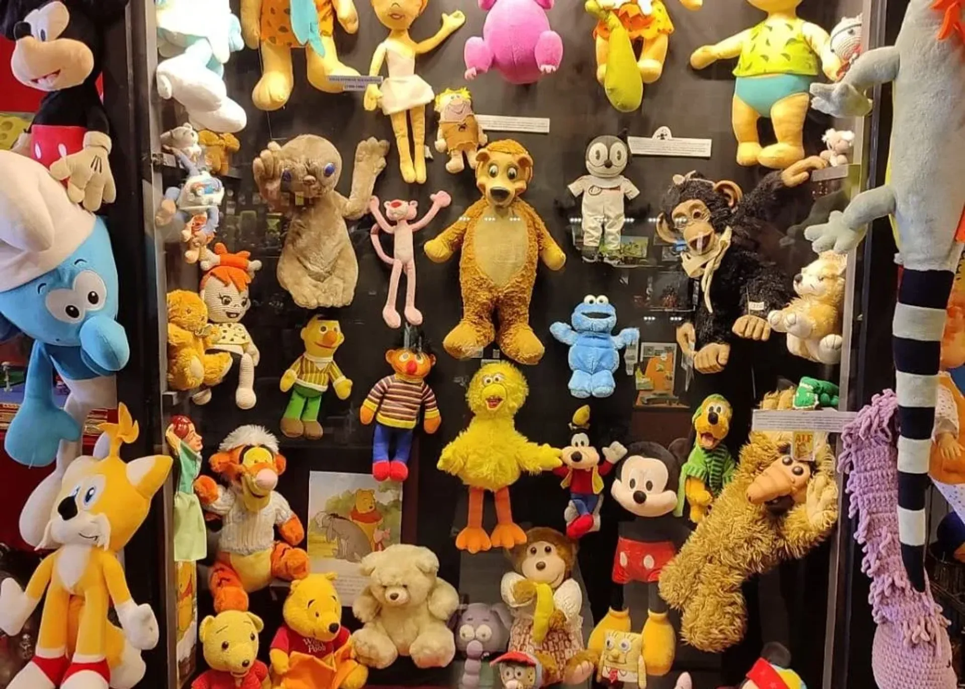 Biglietti d’ingresso al Balat Toy Museum