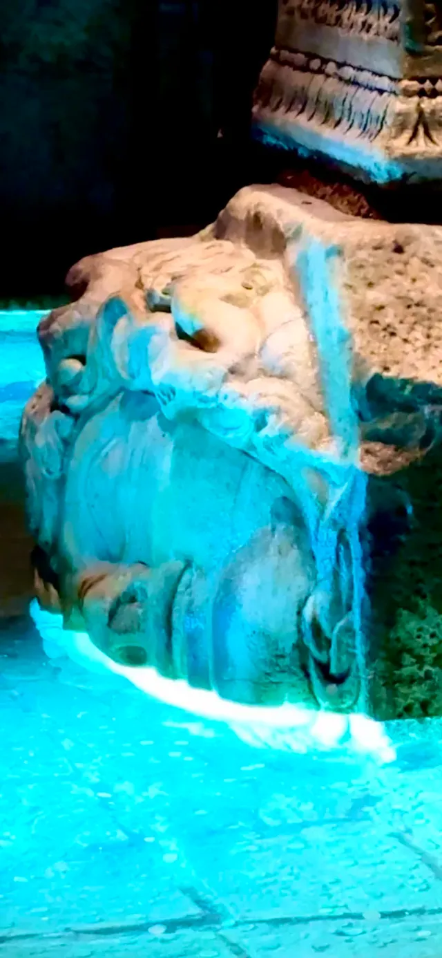 Visite guidée de la Basilica Cistern avec entrée coupe-file