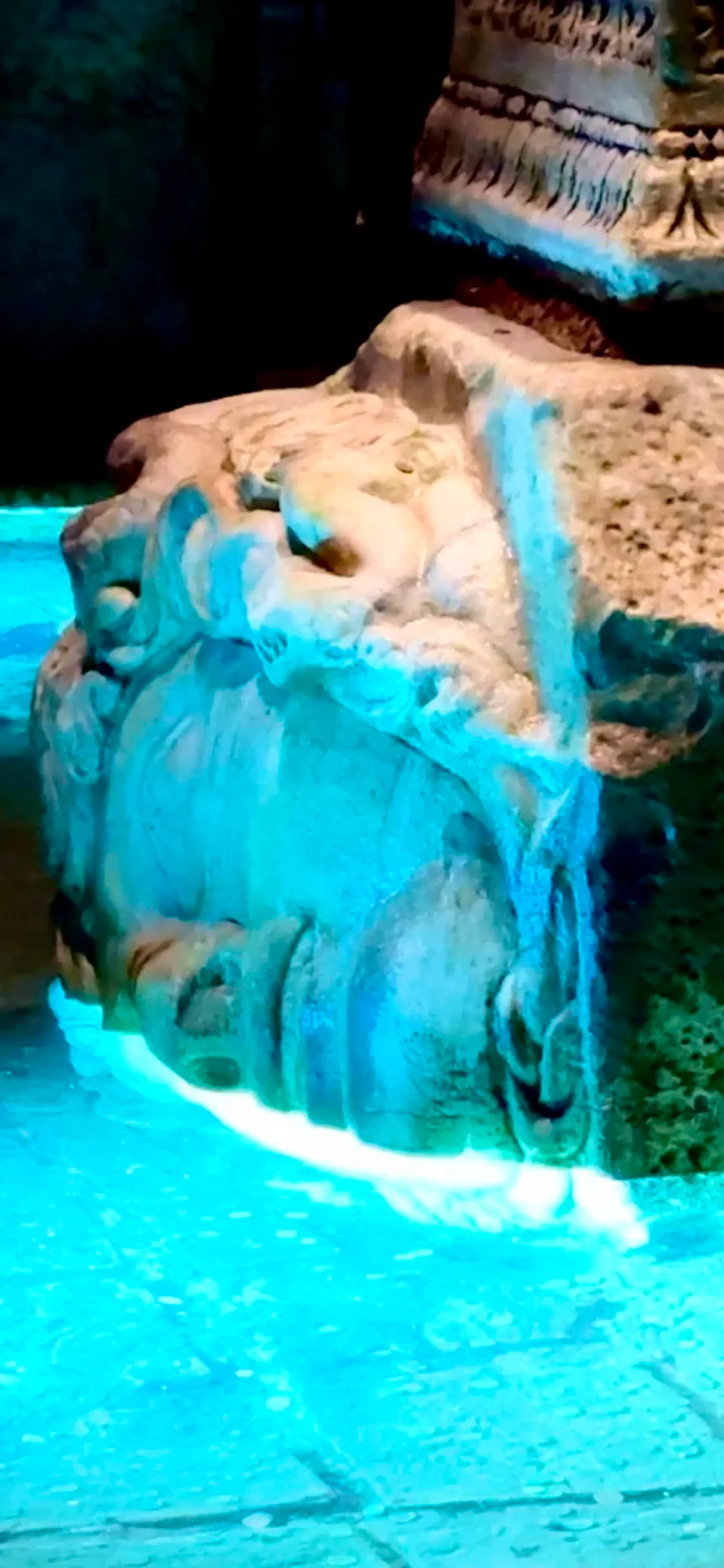 Visite guidée de la Basilica Cistern avec entrée coupe-file