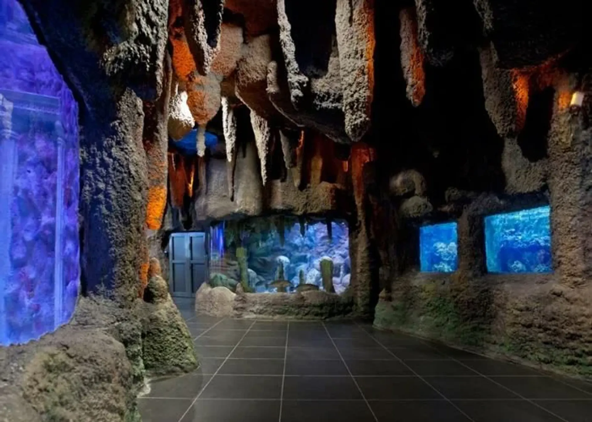 ViaSea Aquarium belépőjegy
