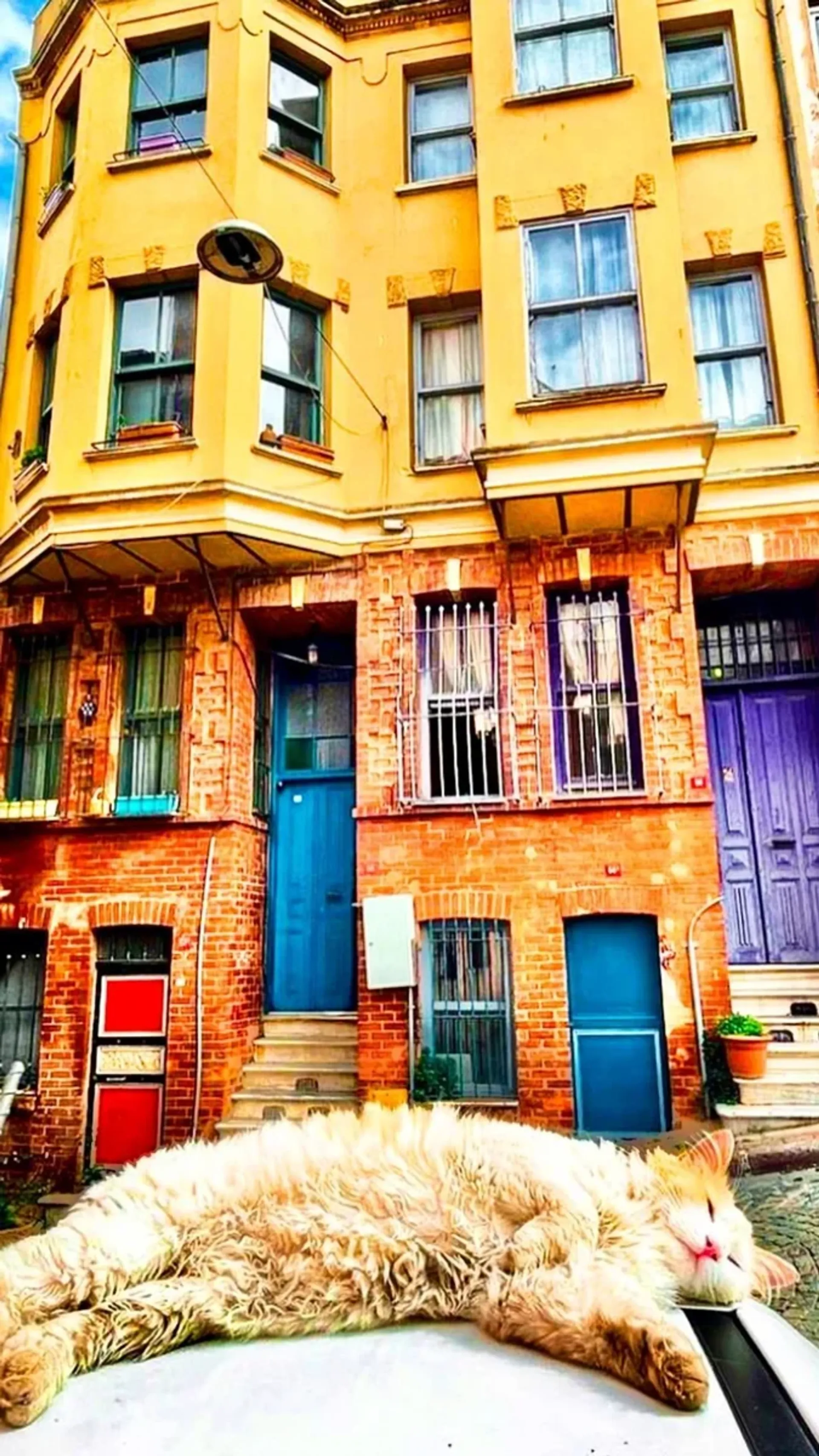 Visite à pied de Fener et Balat avec audioguide