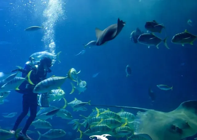 Emaar Aquarium and Underwater Zoo 免排队门票