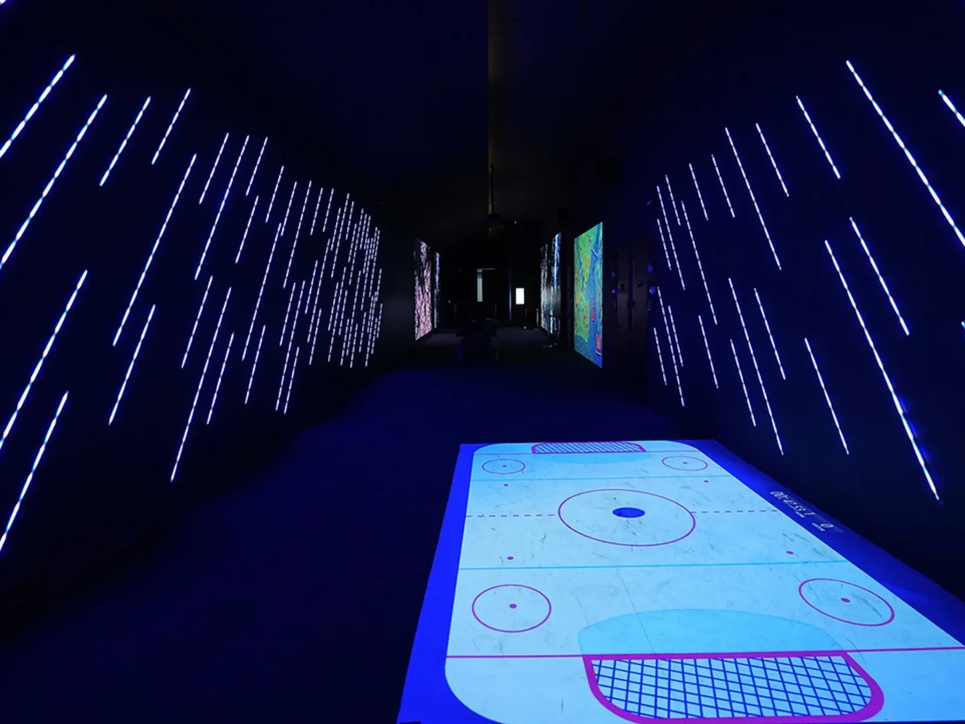 Entrée coupe-file au Digital Experience Museum