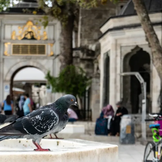 Eyup Sultan Mosque Walking Tour with Audio Guide