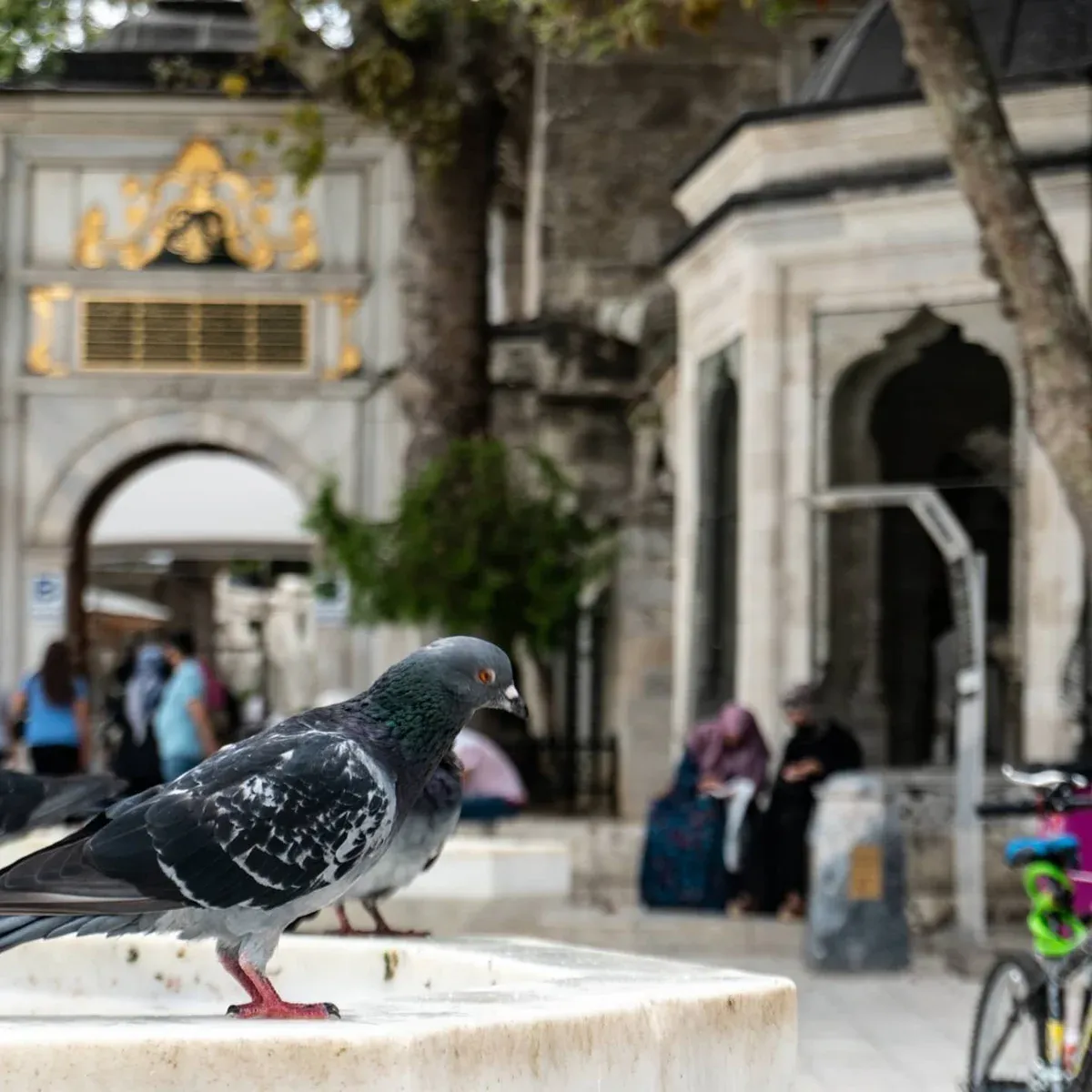 Eyup Sultan Mosque Walking Tour with Audio Guide