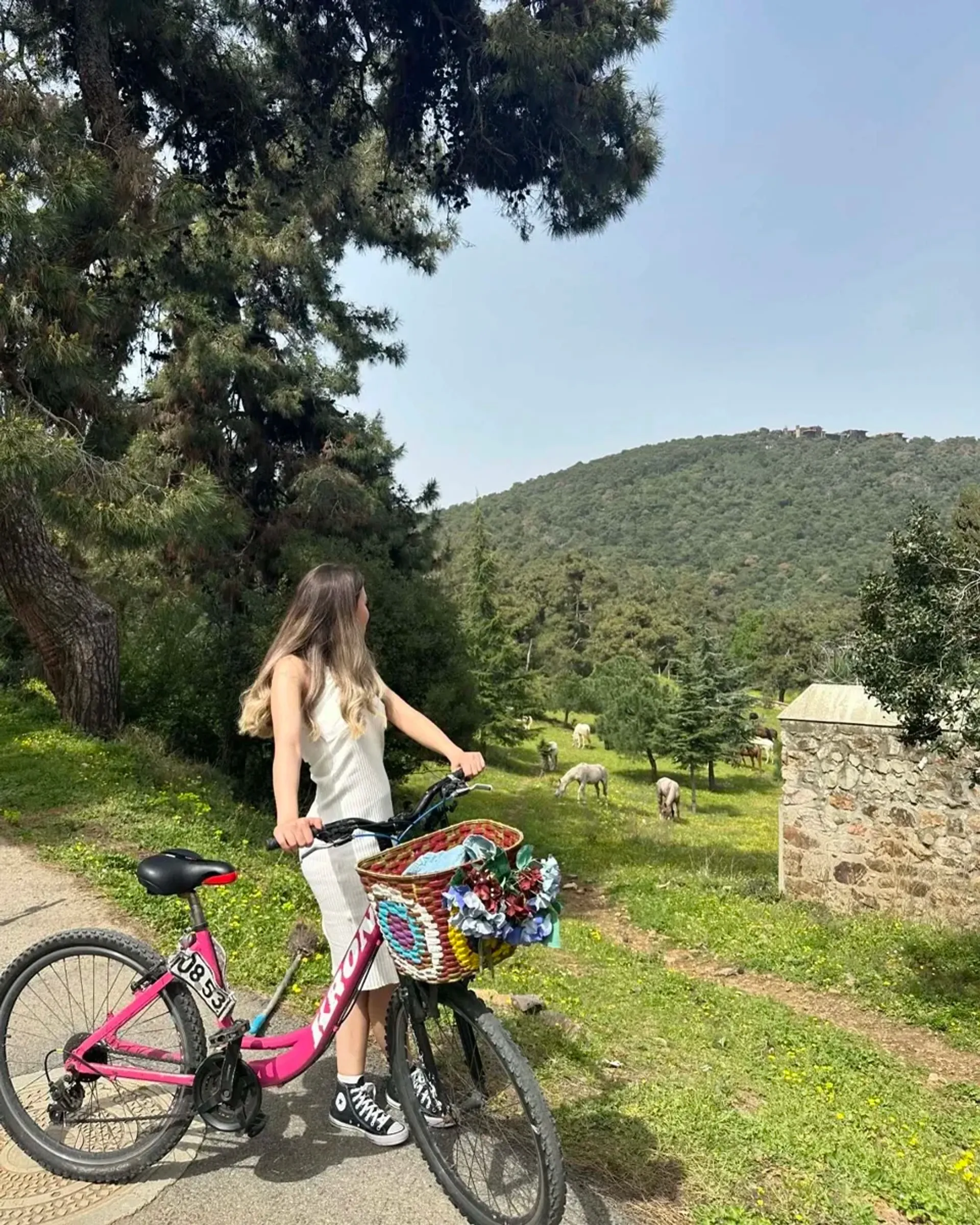 Buyukada Island Roundtrip Boat Ticket with Audio Guide