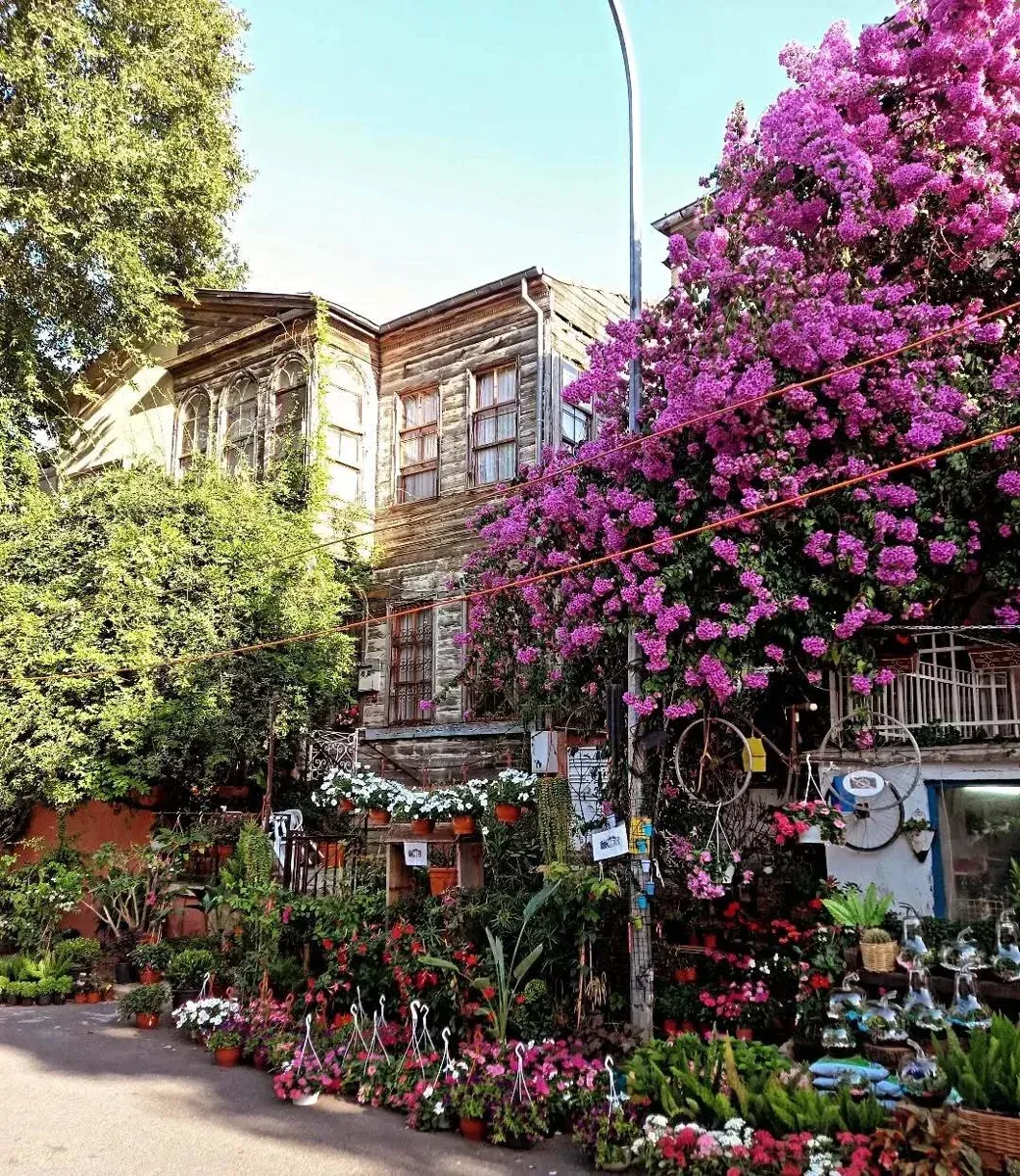 Heybeliada Insel Hin- und Rückfahrt Bootsticket mit Audioguide