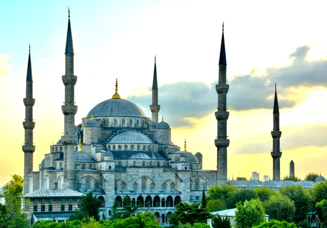 Вход в Blue Mosque с экскурсией