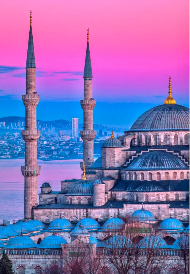 Вход в Blue Mosque с экскурсией