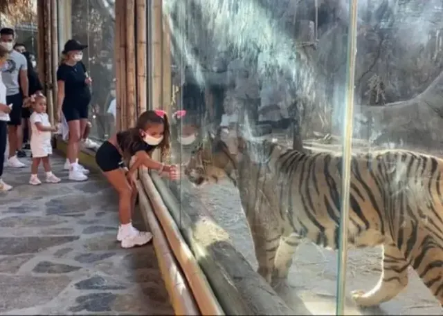 כניסה לגן החיות Lion Park