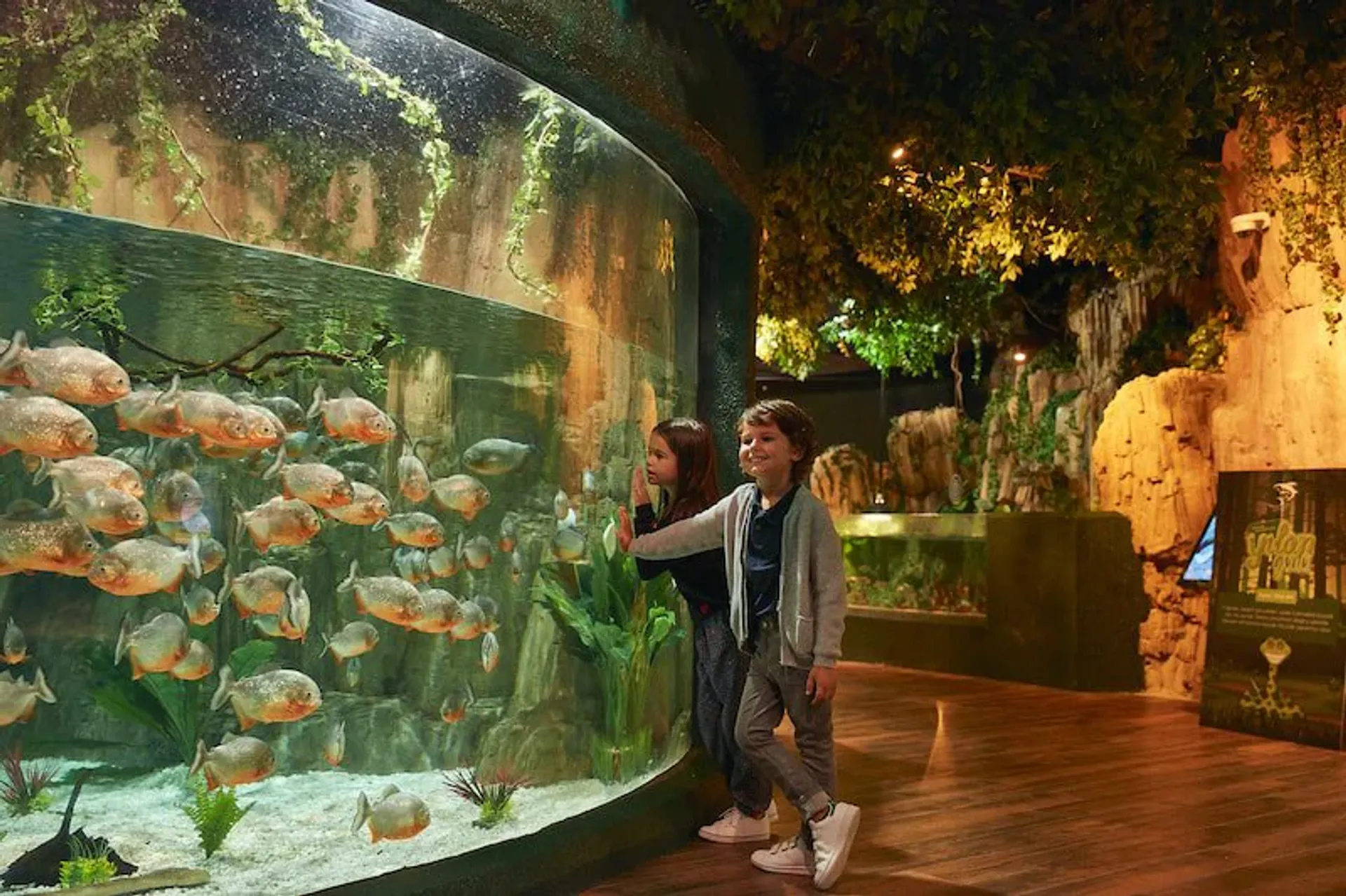 Emaar Aquarium and Underwater Zoo Είσοδος Skip-the-Ticket-Line