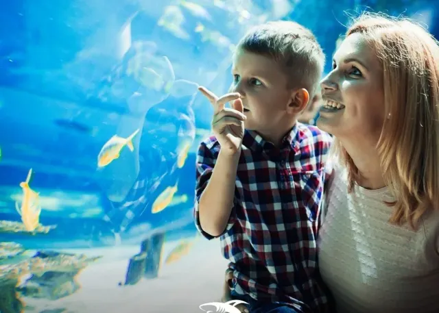 Emaar Aquarium and Underwater Zoo Είσοδος Skip-the-Ticket-Line