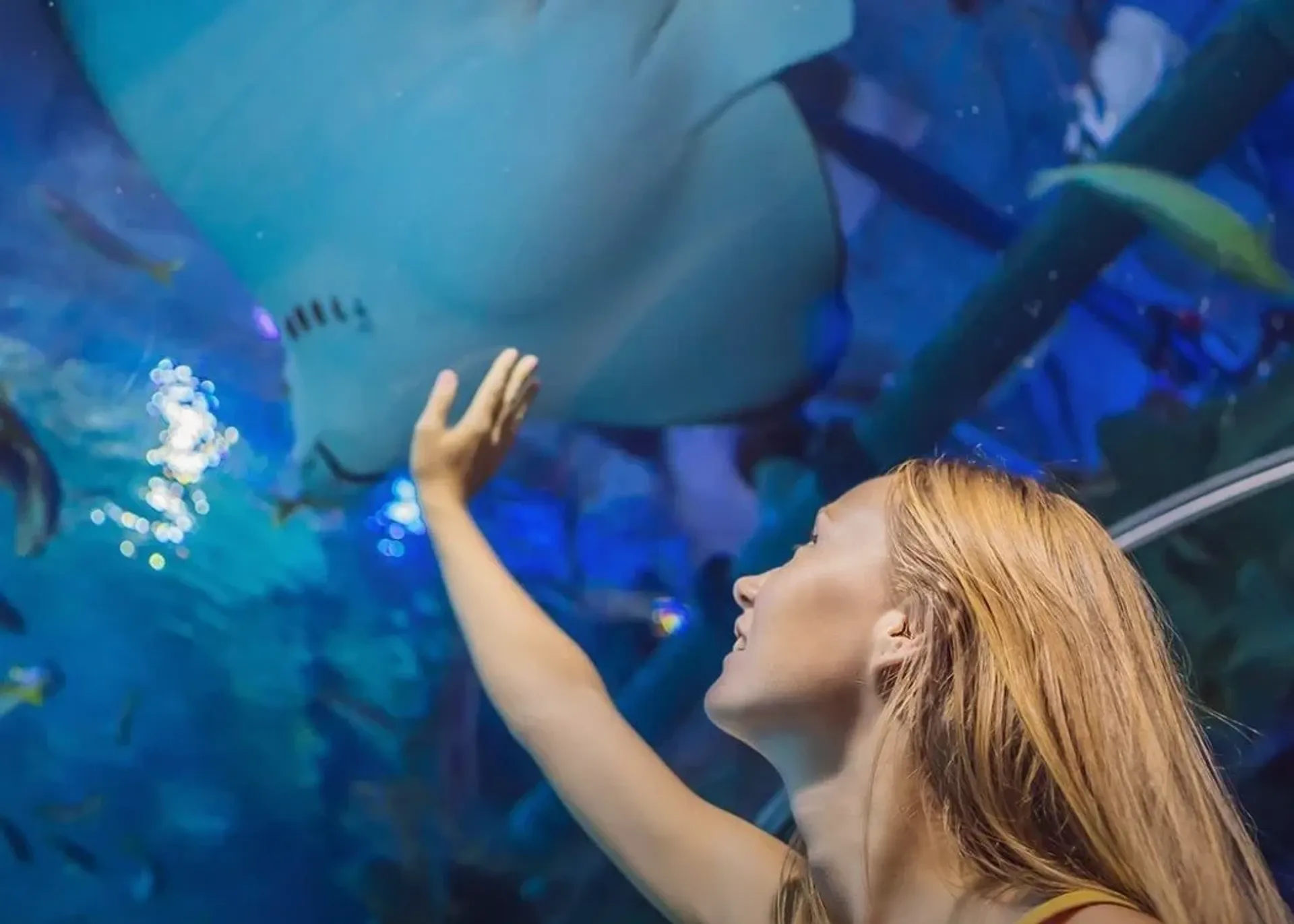 Emaar Aquarium and Underwater Zoo Είσοδος Skip-the-Ticket-Line