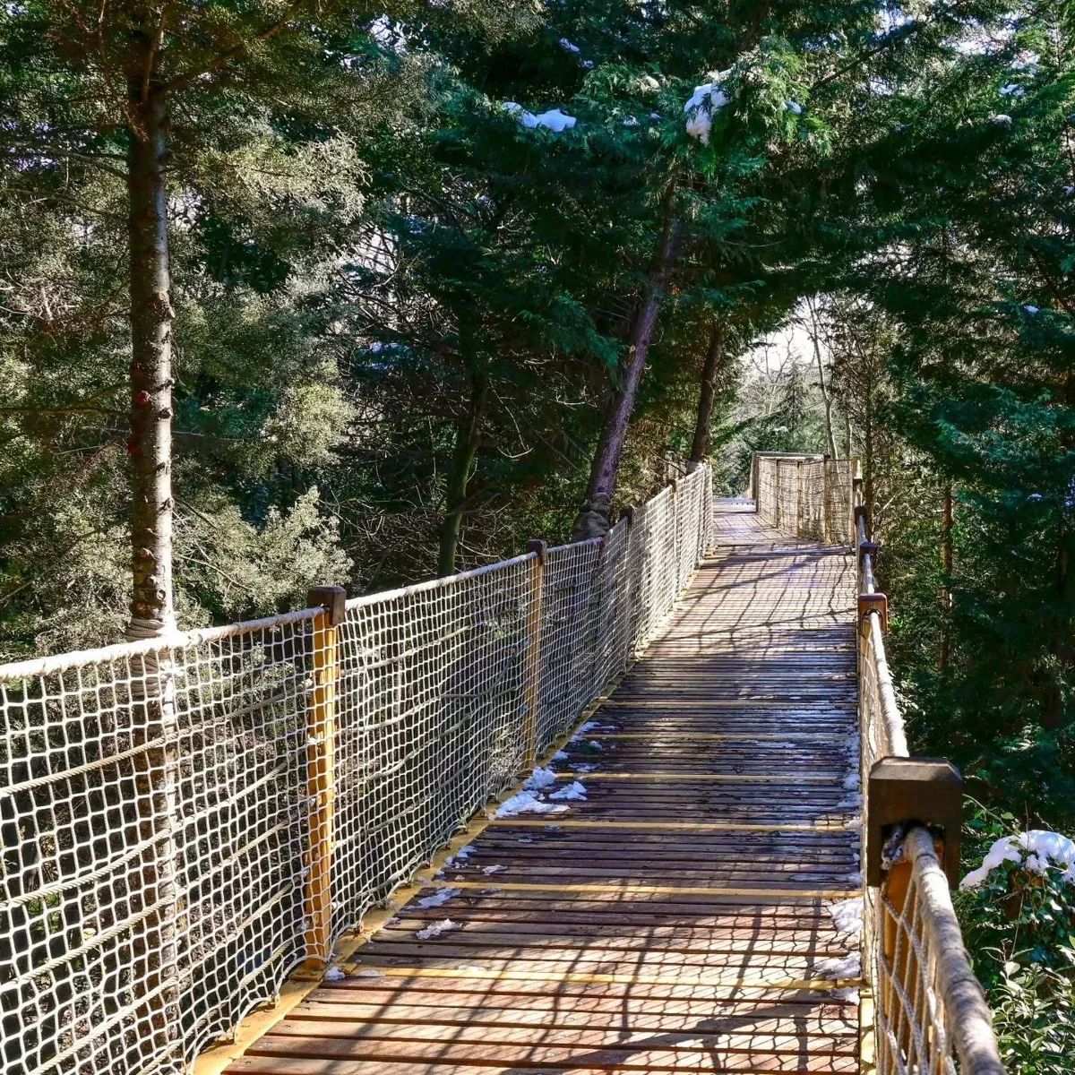 Yildiz Park 语音导览徒步之旅