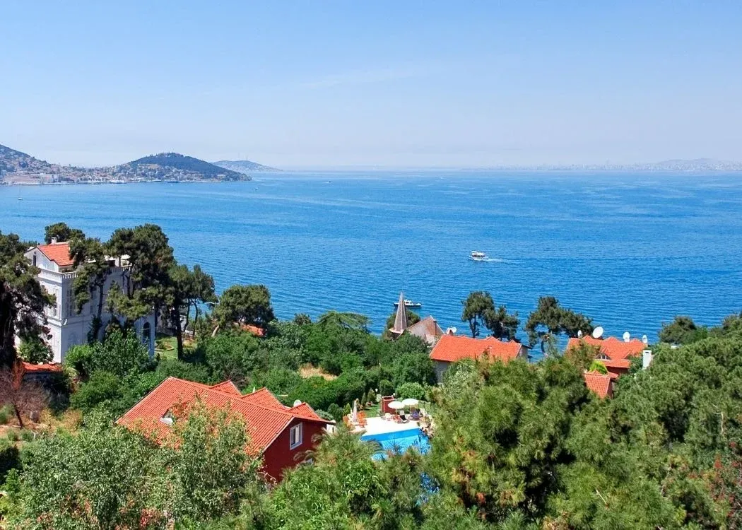 Billet aller-retour en bateau pour l’île de Buyukada avec audioguide