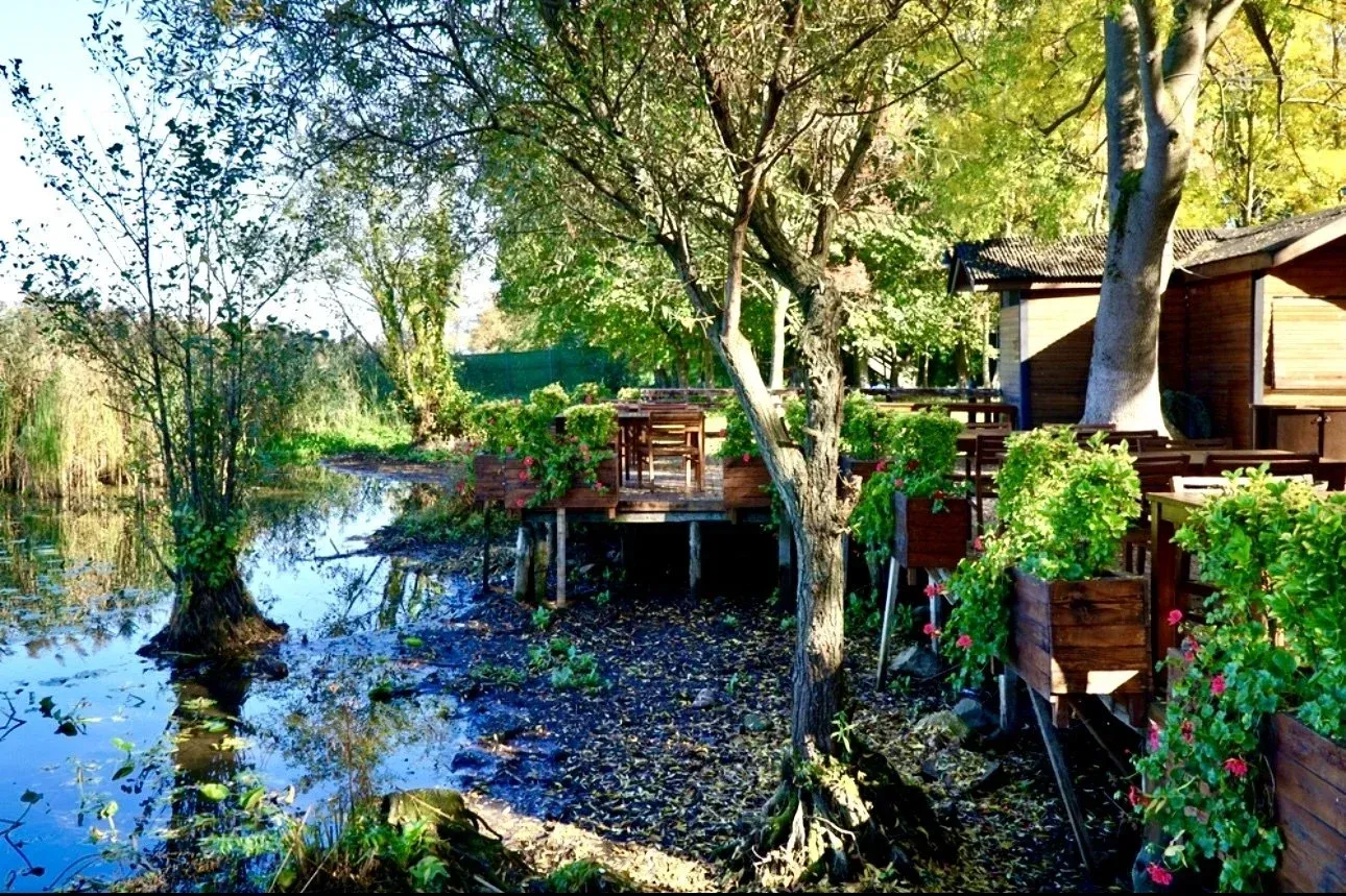 Sapanca Lake और Masukiye निर्देशित डे ट्रिप