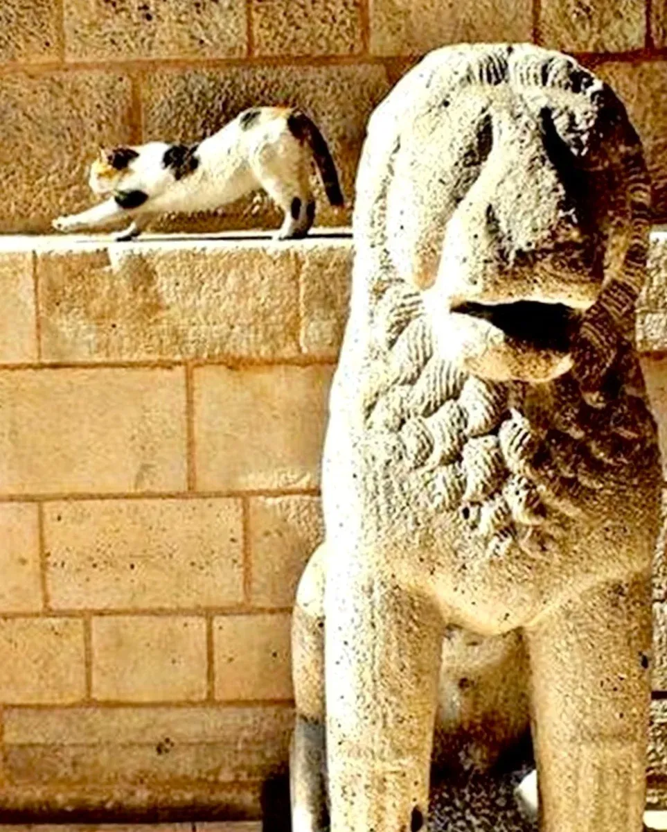 Turkish and Islamic Arts Museum Skip-the-Ticket-Line प्रवेश ऑडियो गाइड के साथ