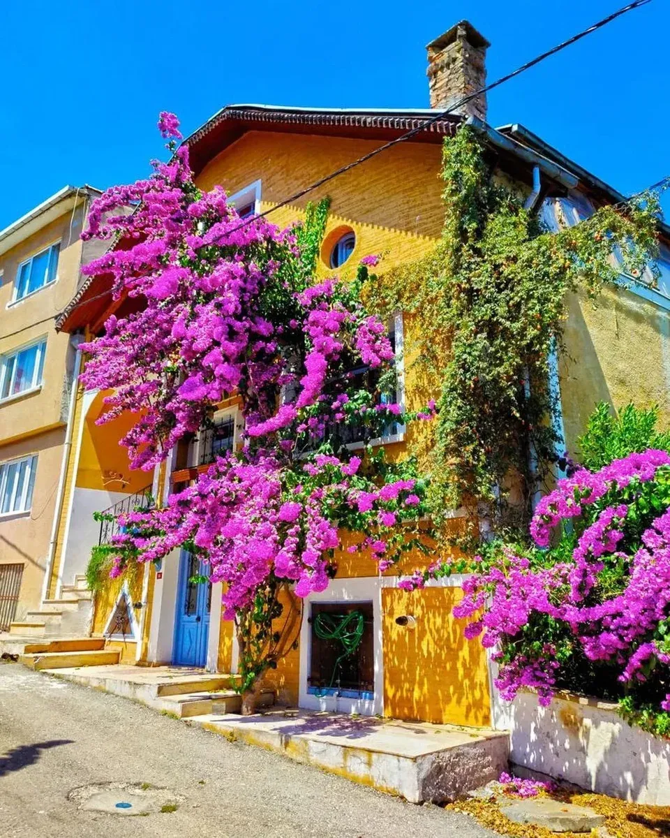 Тура до Princes’ Islands со ручек