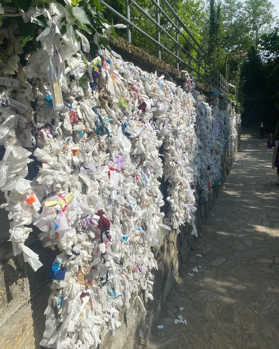 エフェソス＆聖母マリアの家 ガイド付き日帰りツアー