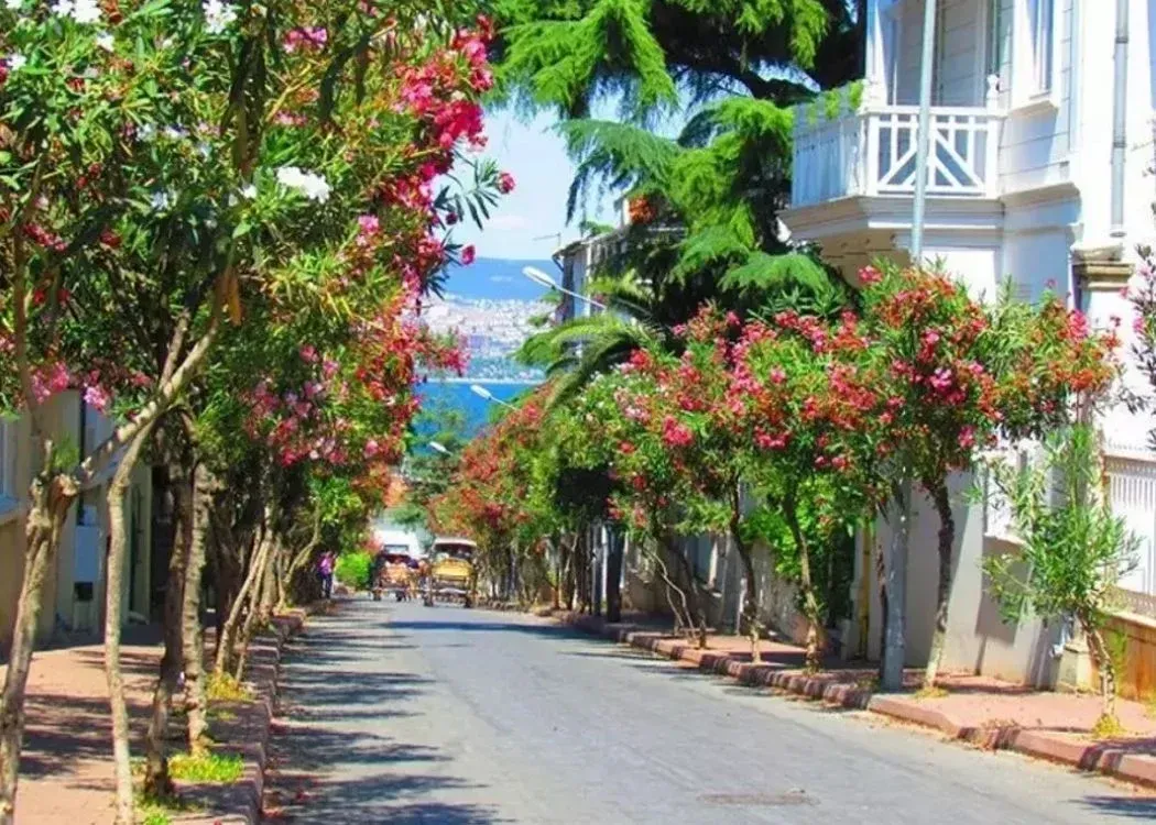 Buyukada Island राउंडट्रिप बोट टिकट ऑडियो गाइड के साथ