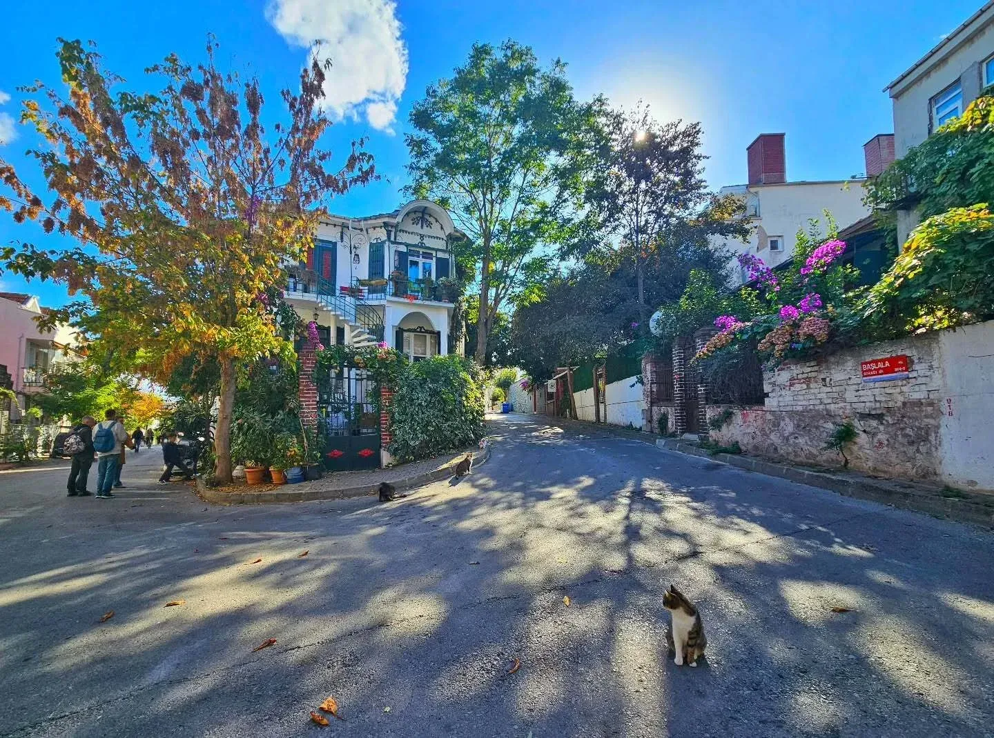 Тура до Princes’ Islands со ручек