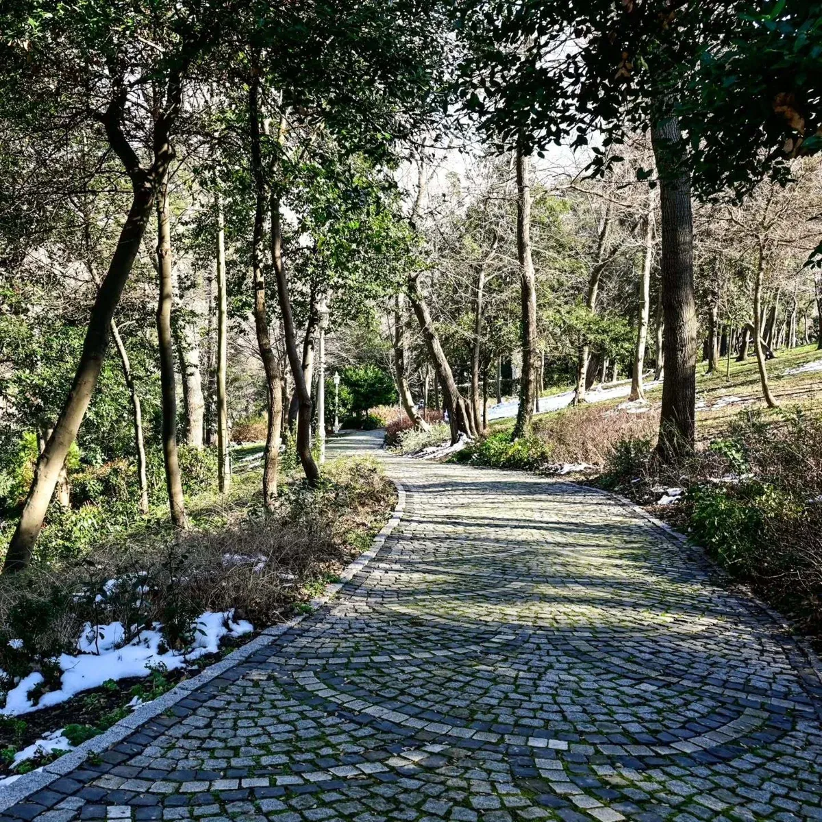 Yildiz Park 语音导览徒步之旅