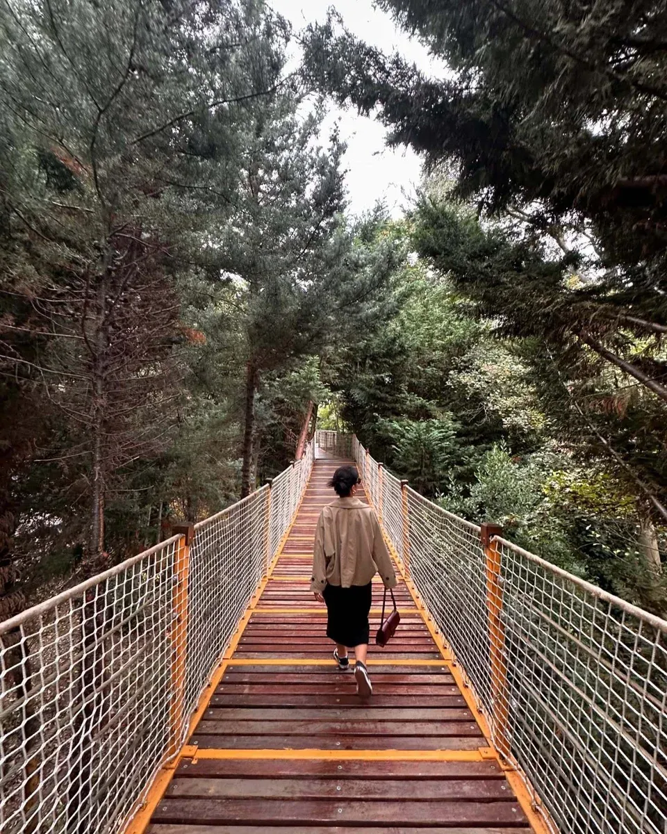 Yildiz Park 语音导览徒步之旅