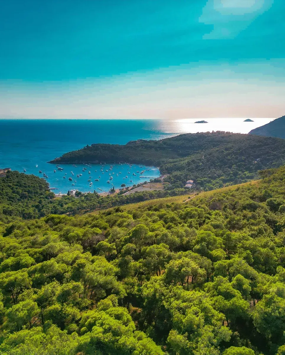 Excursion aux Îles des Princes avec déjeuner