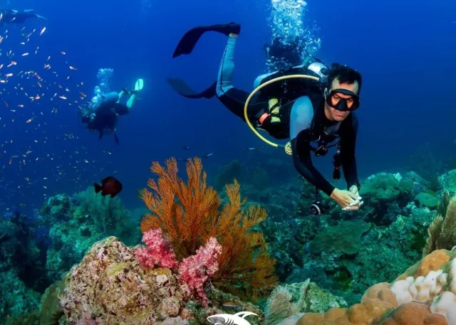 Emaar Aquarium and Underwater Zoo Είσοδος Skip-the-Ticket-Line