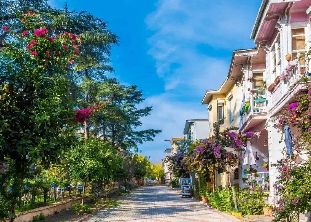 Tur pietonal pe Insula Burgazada cu ghid audio