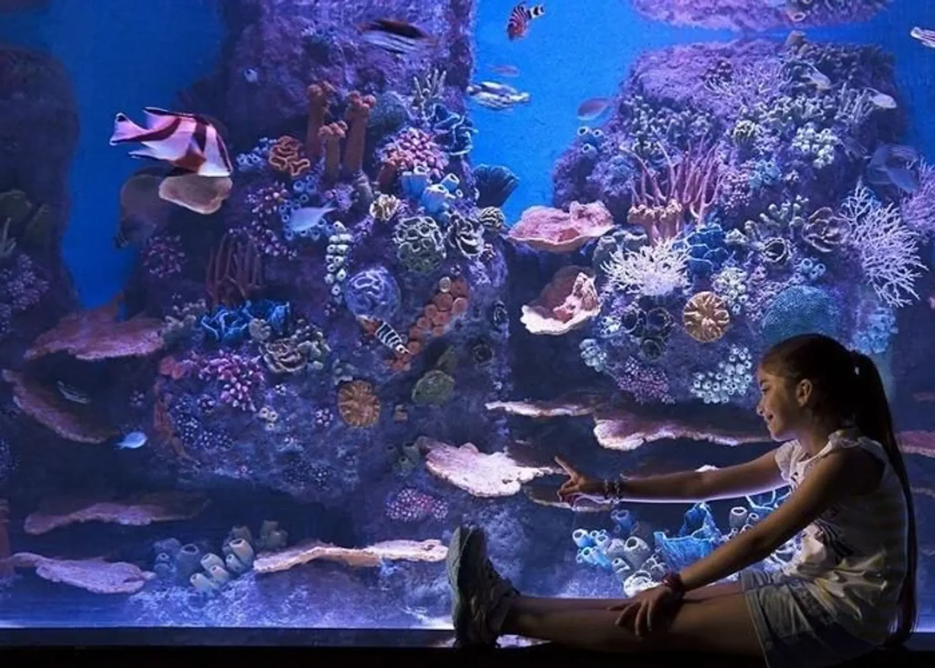 Ulaznica za ViaSea Aquarium